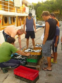 Prodej ryb v přístavu Mandre