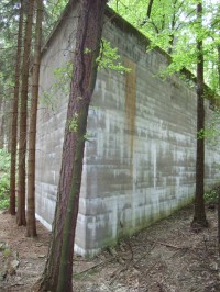 beton v lese