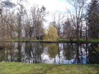 Chotkův rybník