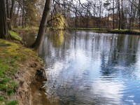 Chotkův rybník