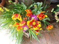 tulipánová výzdoba