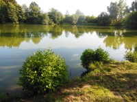 Dolný rybník