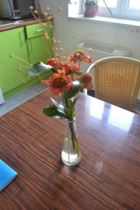 kvetinka na stole