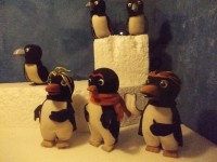 tučniaci
