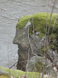 hlava človeka