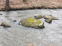 kamene v koryte rieky