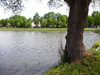 rybník a zeleň