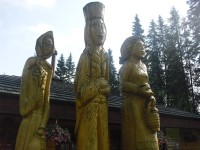 sochy pred kolibou