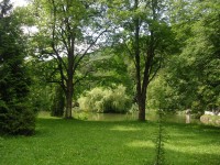 park s jazierkom a ostrovčekom