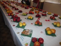 výstava krajových a starších odrôd ovocia