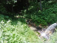 Lysečinský potok