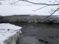 Tloušťka ledu na potoce.