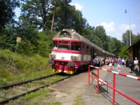 Vlak v železniční zastávce Staré Splavy.