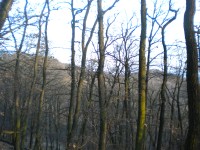 Mezi stromy rýsující se Skalka a Hrušovský vrch.