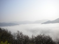 Pohled na mlhu v Labském údolí z vyhlídky v Dubičkách.