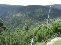 Cesta z Keprníku na Červenohorské sedlo - údolí Hučivé Desné