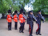 Buckingham Palace - královská stráž
