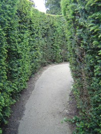 Hampton Court Palace - Labyrint