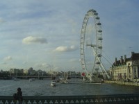 London Eye - pohled z Westminster Bridge