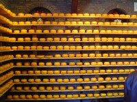 Alida - výroba sýrů