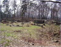 Dolany-Kartouzka-východní část zříceniny na které byl klášterní hřbitov-Foto:Ulrych Mir.