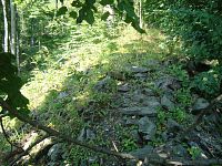 Hrad Tepenec-zbytky hradeb u cesty