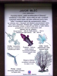 Vrbno pod Pradědem-památný strom u Železné-informační tabule-Foto:Ulrych Mir.
