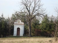 Droždín-kaplička z 18.stol. u polní cesty na Svatý Kopeček-Foto:Ulrych Mir.