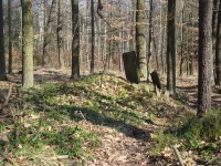 Lošov-Zdíměř-lichtenštejnské jubilejní pamětní kameny na zakoupení polesí-Foto:Ulrych Mir. 