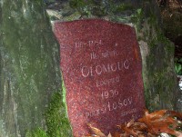 Lošov-mohyla s pamětní deskou na křižovatce lesních cest ve Zlatém dole na zakoupení lošovského polesí městem Olomoucí v r.1936-Foto:Ulrych Mir.