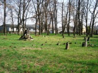 Černovír-Na Vlčinci-vojenský hřbitov s muslímskou kaplí-Foto:Ulrych Mir.