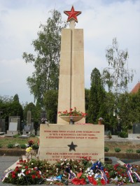 Neředín-Ústřední hřbitov-Vojenský hřbitov s pomníkem R.A. padlým v II.světové válce-Foto:Ulrych Mir.
