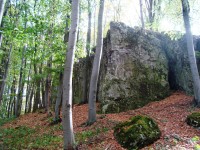 Přírodní rezervace Průchodnice-skalisko-Foto:Ulrych Mir.