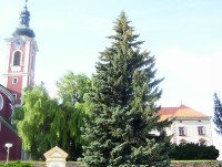 Pacov-zámek-jižní zámecké průčelí a kostel z náměstí-Foto:Ulrych Mir.