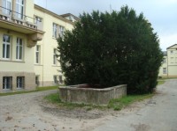 Poděbrady-Husova ulice-hotel Zámeček-zadní-jižní průčelí s kašnou-Foto:Ulrych Mir.