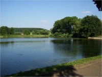 Lázně Bělohrad-rybník Pardoubek-Foto:Ulrych Mir.