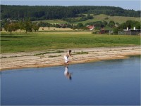 Lázně Bělohrad-rybník Pardoubek-Foto:Ulrych Mir.