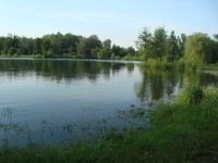 Poděbrady-jezero