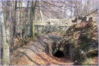 Dolany-Kartouzka-hradby a vstup do sklepení v severní části ostrohu-Foto:Ulrych Mir.jpg