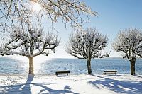 Zimní krajina v Bavorsku u jezera Starnberger See. Foto age fotostock/ Lookphotos