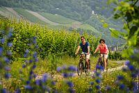Bernkastel-Kues: Pár na kole kolem vinic v údolí řeky Mosely, © DZT / Günter Standl