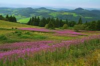 Rhön: Krajina s loukou s fialovými květy v hesenském regionu Rhön © iStock/Fotofreak75