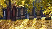 Mainz © Landeshauptstadt_Mainz