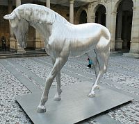 Ocelový kůň 2019 - Karlovy Vary