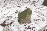 Starý hraniční kámen v oboře Holedná
