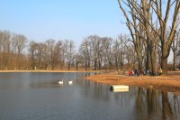 Přední část rybníka se vzrostlými topoly, v zadu za rybníkem lipová alej vedoucí podél cesty do Bažantnice