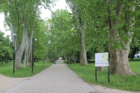Malacky - Zámecký park