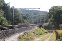 Železniční trať v údolí Svitavy pod Bílovicemi