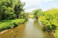 Řeka Jihlava