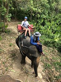 Výlet na slonech